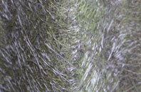 Mapleton fibreglass roof work